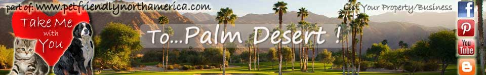 dog friendly vacation rentals in palm desert, california